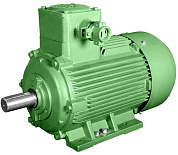 Взрывозащищенный электродвигатель АИМ200M8