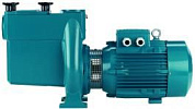 Насос для бассейна с предварительным фильтром CalpedaNMP 50/12FE
